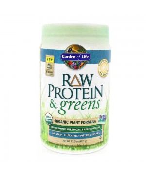 RAW Protein & Greens Organic - lehce slazený 651g